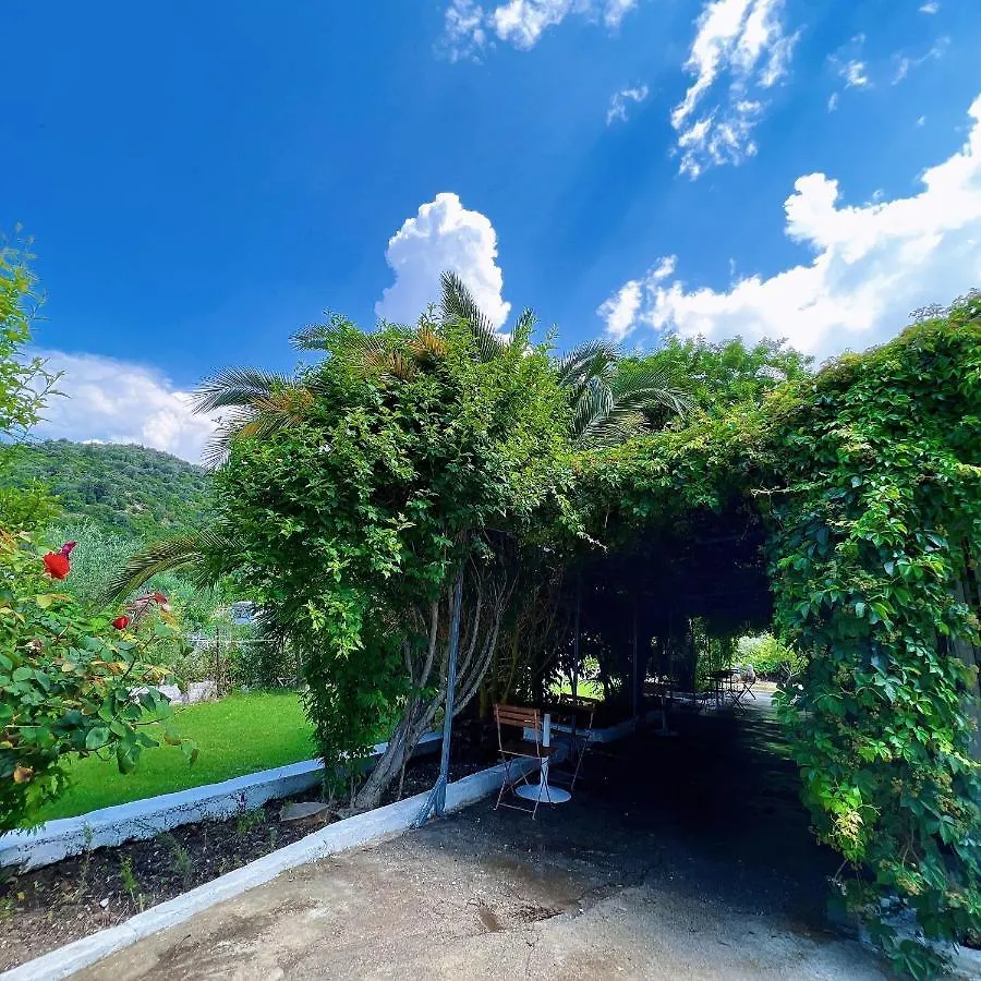 Garden Villa Naza Piqeras 0*,